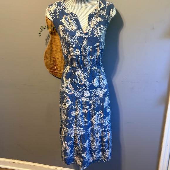 Daniel Rainn blue and paisley sleeveless day dress large NWOT - Picture 5 of 10